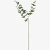 Urban Barn Gibb Eucalyptus Stem- Blooms & Branches