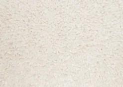 Urban Barn Gloria Armchair- Accent Chairs