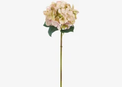 Urban Barn Gretel Hydrangea Stem- Blooms & Branches