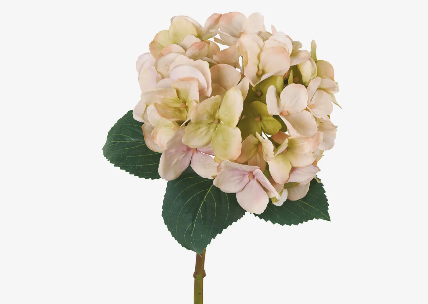 Urban Barn Gretel Hydrangea Stem- Blooms & Branches
