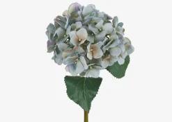 Urban Barn Gretel Hydrangea Stem- Blooms & Branches