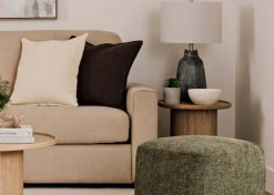 Urban Barn Hailey Succulants Potted- Blooms & Branches