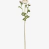 Urban Barn Helene Ranunculus Branch Ivory- Blooms & Branches