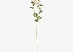 Urban Barn Helene Ranunculus Branch Ivory- Blooms & Branches