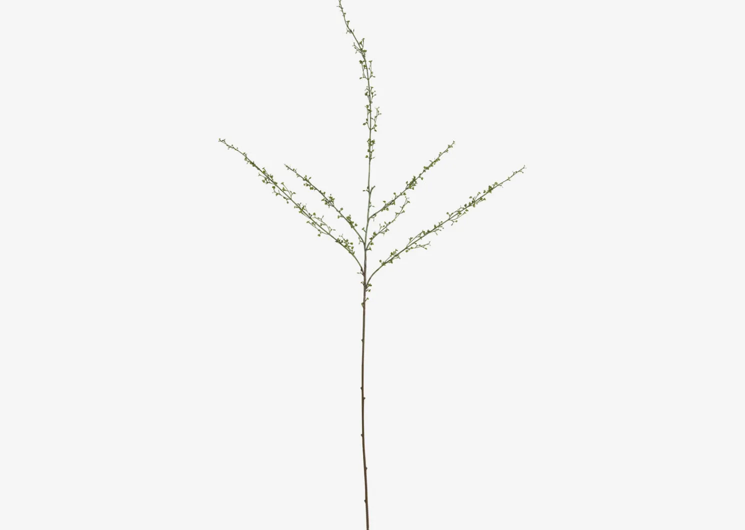 Urban Barn Hopper Mini Spring Branch- Blooms & Branches