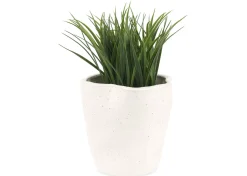 Urban Barn Hugo Planter- Vases & Planters
