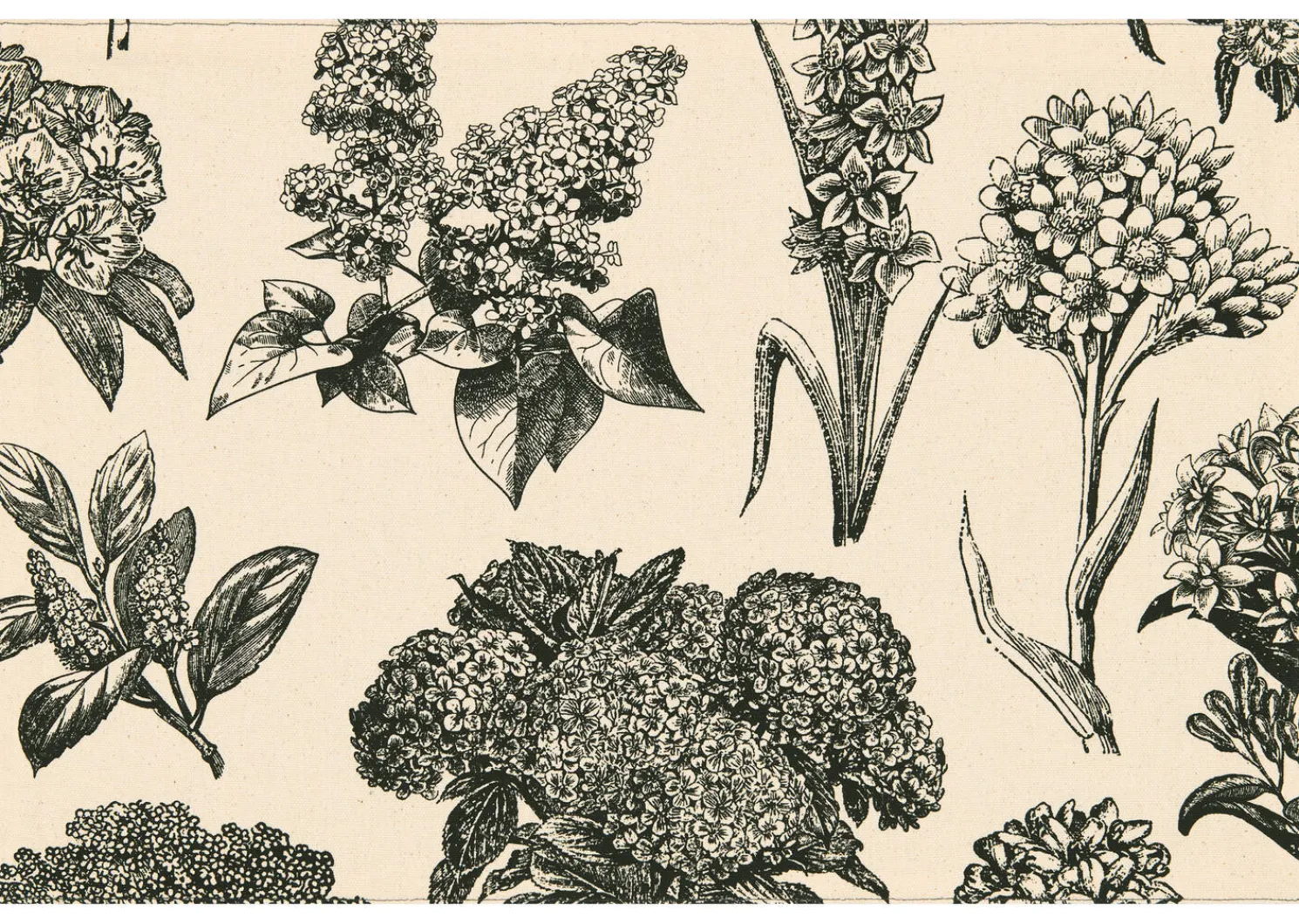 Urban Barn Hydrangea Placemat Natural/Black- Table Linens & Coasters