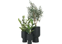 Urban Barn Ingrid Planter- Vases & Planters