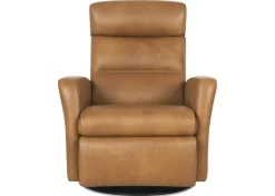 Urban Barn Jasper Leather Recliner- Accent Chairs