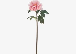 Urban Barn Jayde Peony Stem- Blooms & Branches