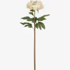 Urban Barn Jayde Peony Stem Ivory- Blooms & Branches