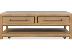 Urban Barn Jayman Storage Coffee Table- Coffee Tables