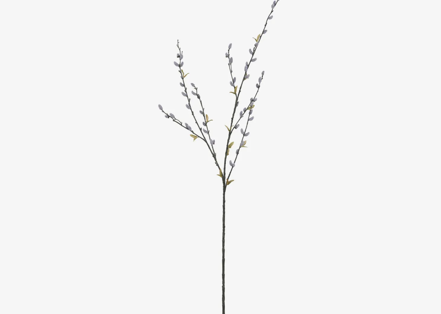 Urban Barn Jessa Pussy Willow Branch- Blooms & Branches