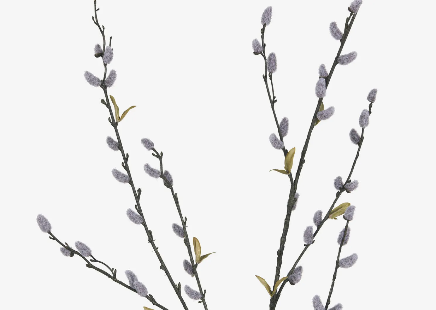 Urban Barn Jessa Pussy Willow Branch- Blooms & Branches