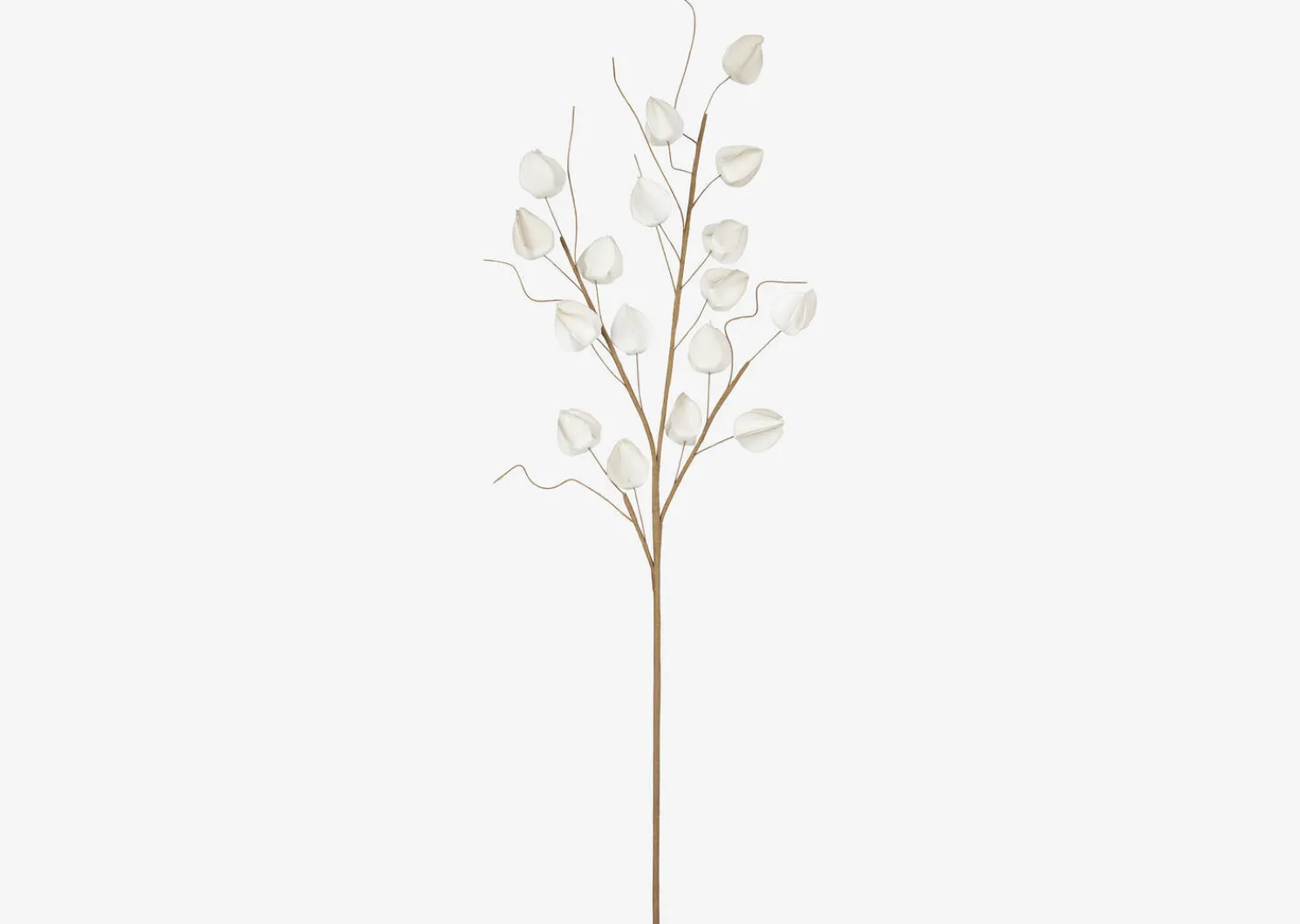 Urban Barn Jojo Lantern Branch- Blooms & Branches