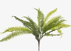 Urban Barn Jylan Long Fern Bunch- Blooms & Branches