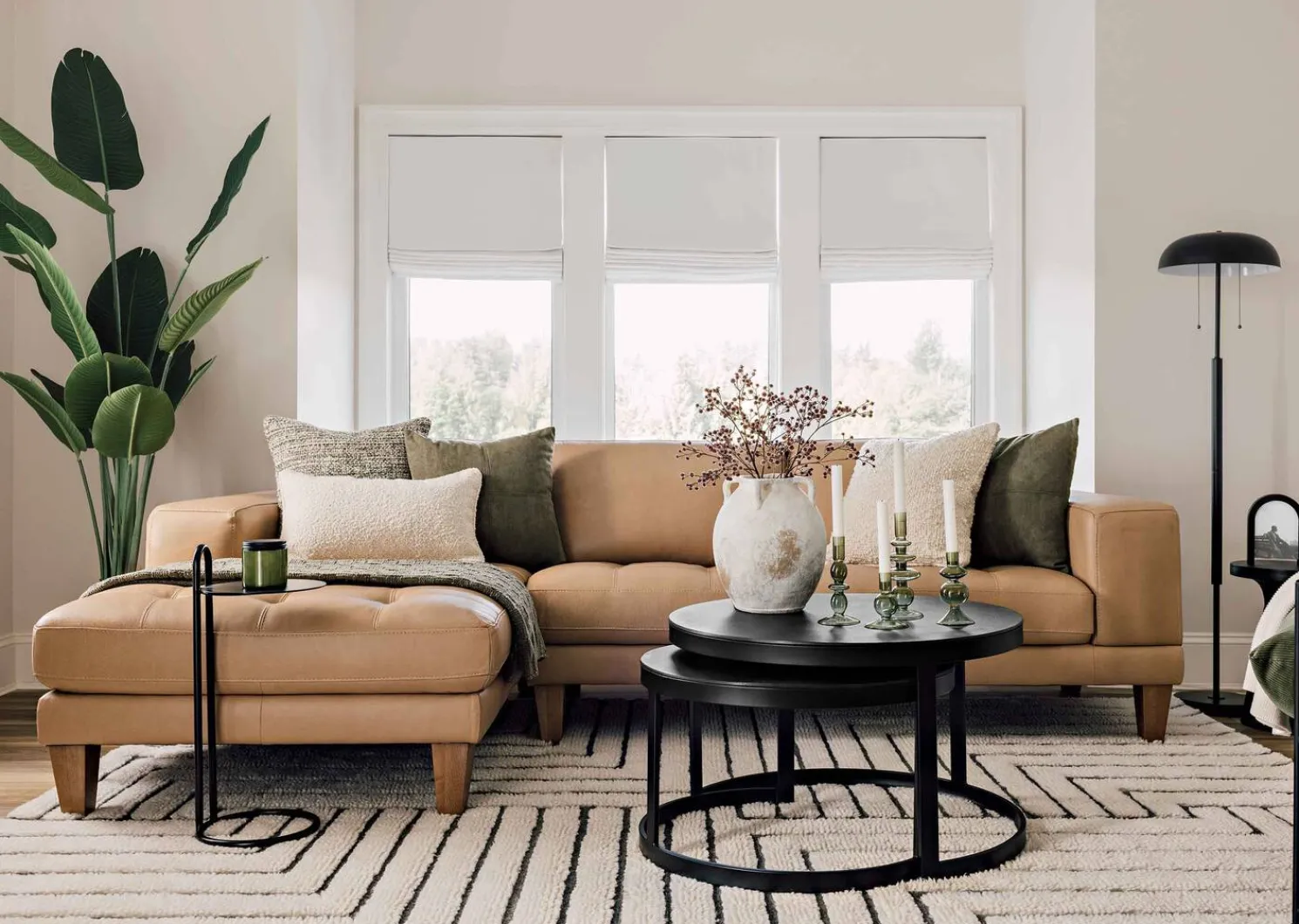 Urban Barn Kani Travelers Palm Potted X-Large- Blooms & Branches