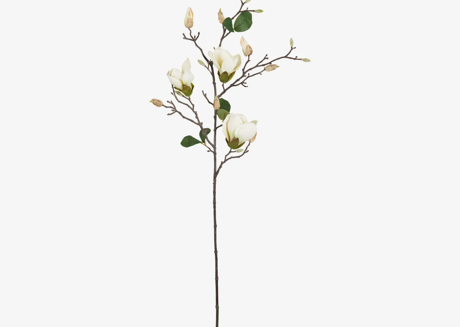 Urban Barn Keery Magnolia Branch Ivory- Blooms & Branches