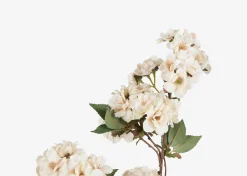 Urban Barn Kya Cherry Blossom Branch- Blooms & Branches