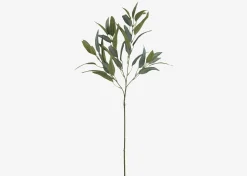 Urban Barn Letty Salix Willow Branch- Blooms & Branches