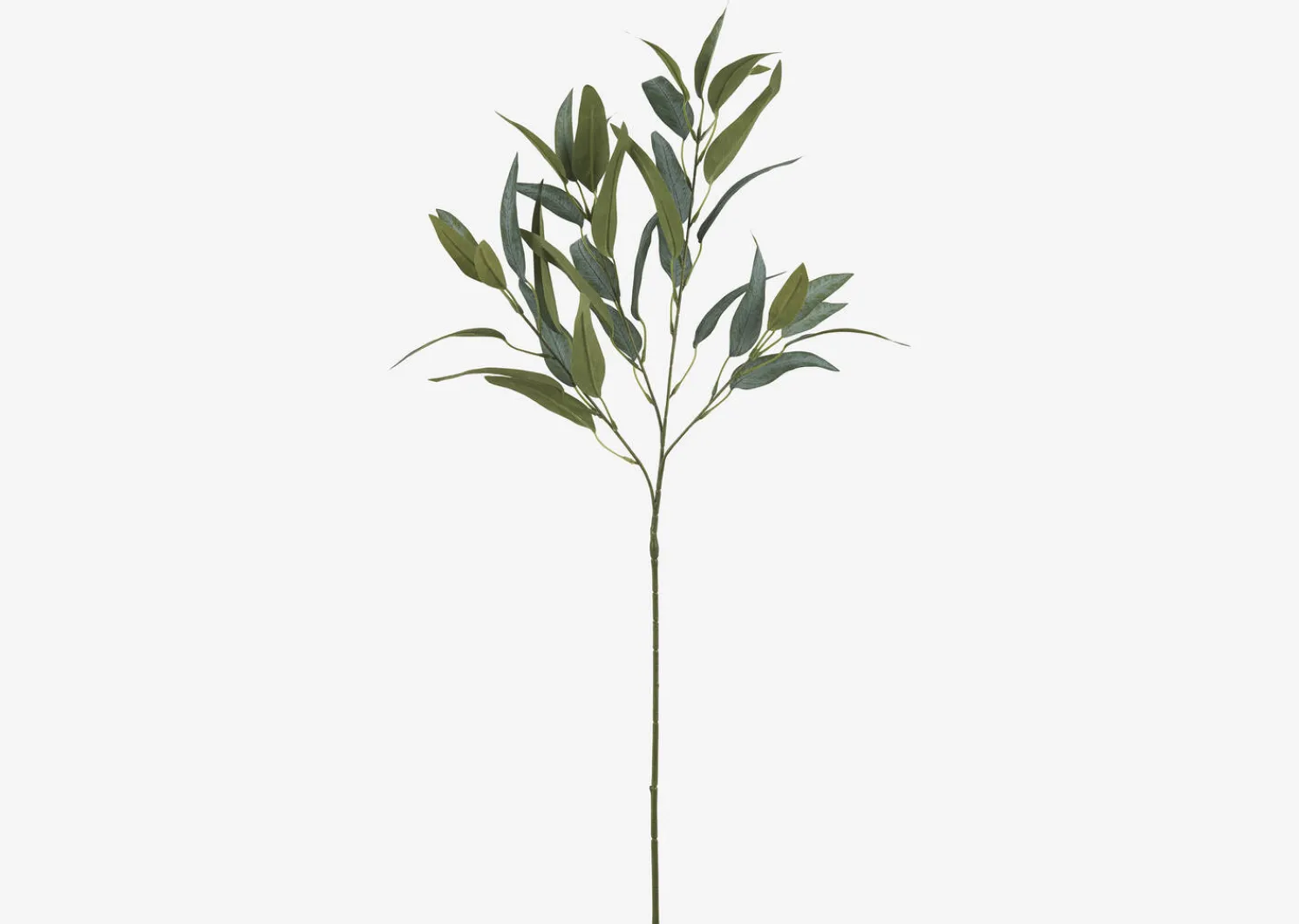 Urban Barn Letty Salix Willow Branch- Blooms & Branches