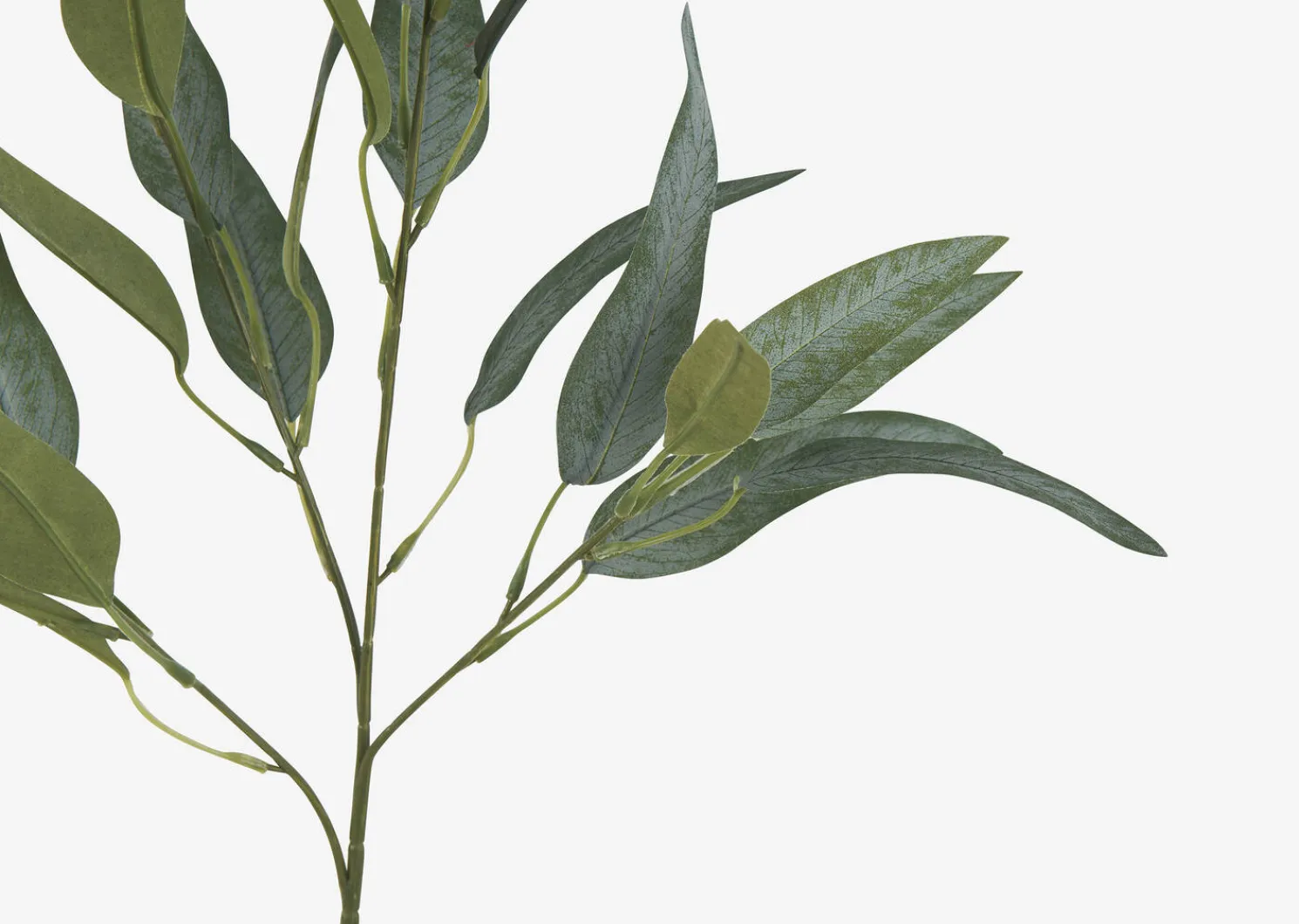 Urban Barn Letty Salix Willow Branch- Blooms & Branches