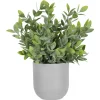Urban Barn Lidia Jasmine Plant Potted- Blooms & Branches