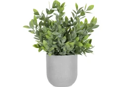 Urban Barn Lidia Jasmine Plant Potted- Blooms & Branches