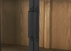 Urban Barn Lilibet Reclaimed Wood Cabinet -- Sideboards & Storage