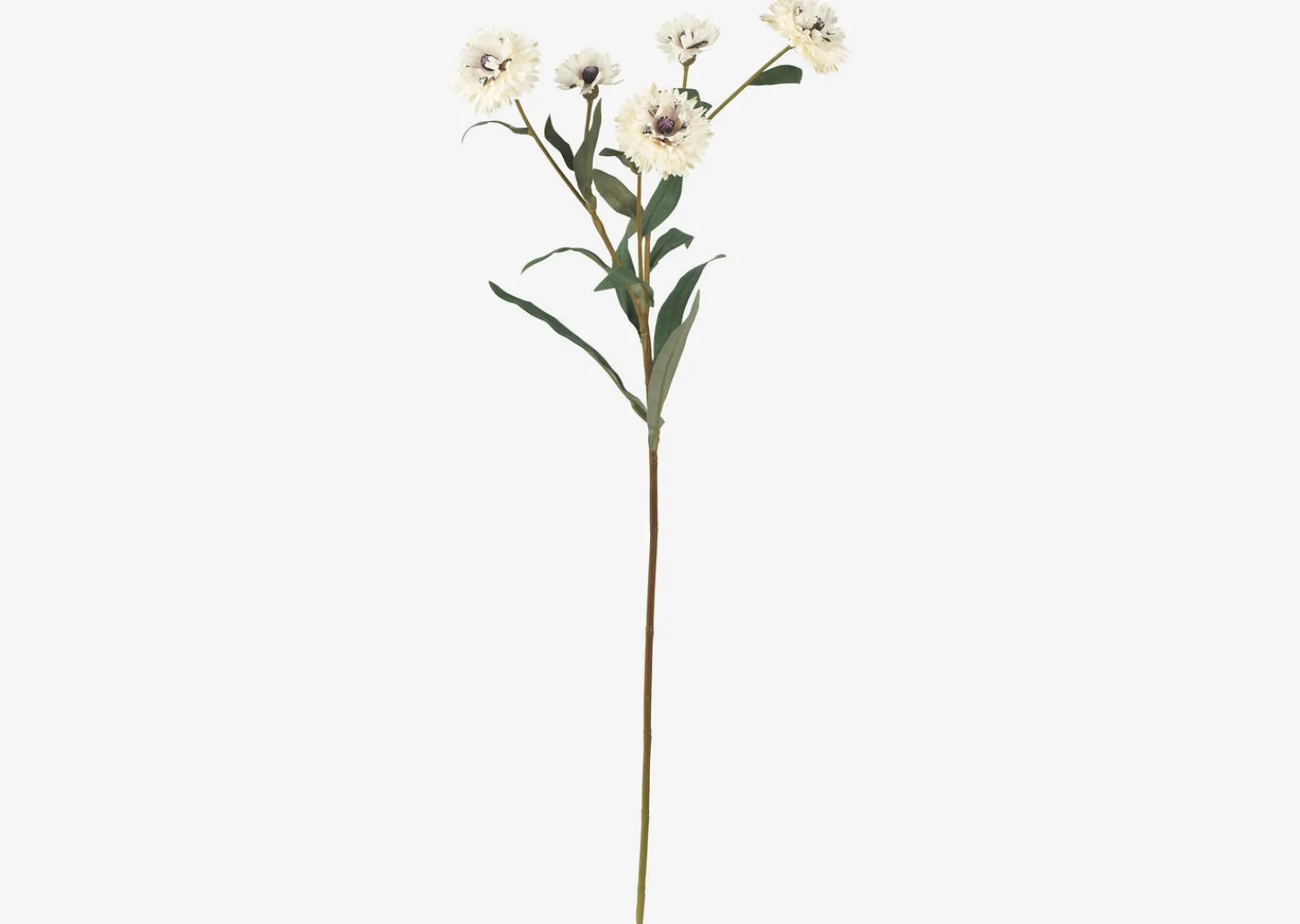 Urban Barn Lindy Cornflower- Blooms & Branches