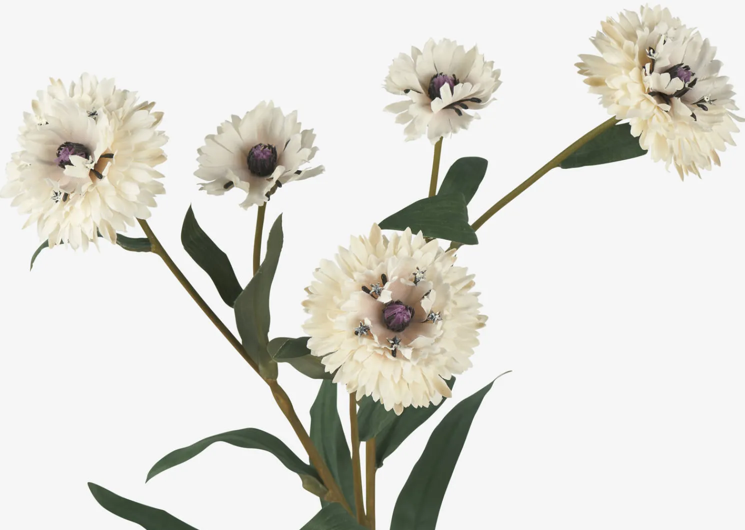 Urban Barn Lindy Cornflower- Blooms & Branches