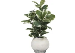 Urban Barn Linna Planter- Vases & Planters