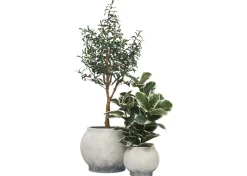 Urban Barn Linna Planter- Vases & Planters