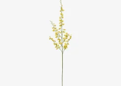 Urban Barn Liza Dancing Orchid Branch- Blooms & Branches