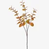 Urban Barn Luis Eucalyptus Stem Caramel- Blooms & Branches