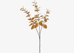 Urban Barn Luis Eucalyptus Stem Caramel- Blooms & Branches