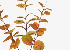 Urban Barn Luis Eucalyptus Stem Caramel- Blooms & Branches