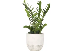 Urban Barn Manny Planter- Vases & Planters