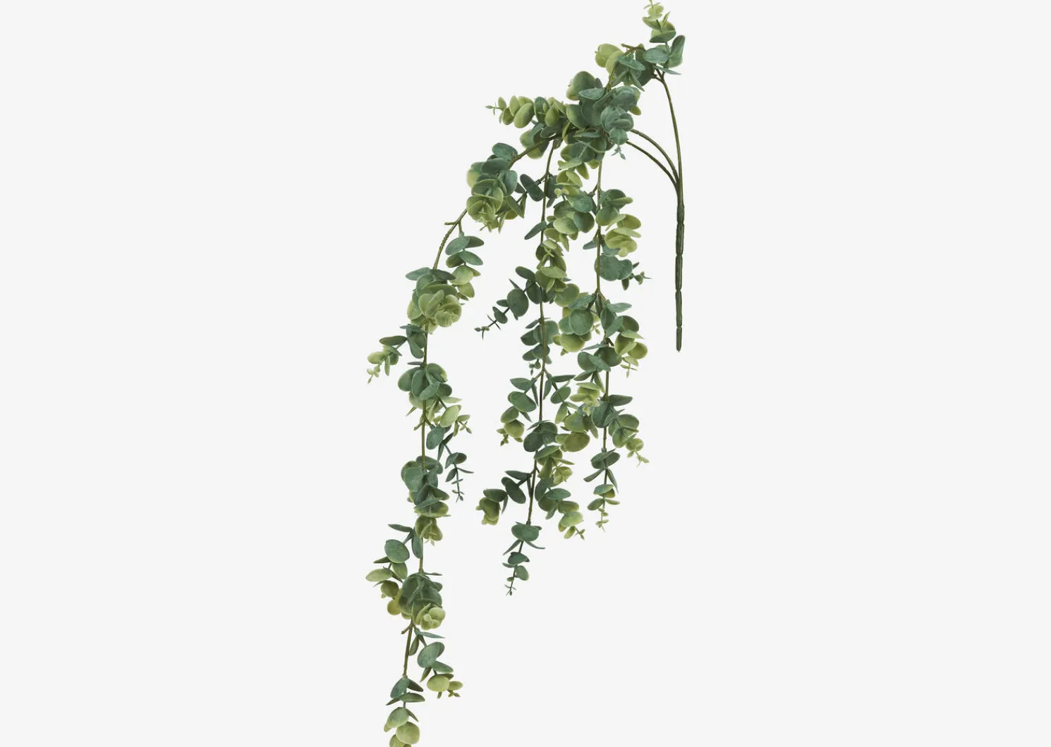 Urban Barn Marla Hanging Eucalyptus- Blooms & Branches