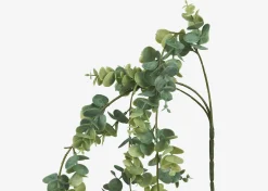 Urban Barn Marla Hanging Eucalyptus- Blooms & Branches