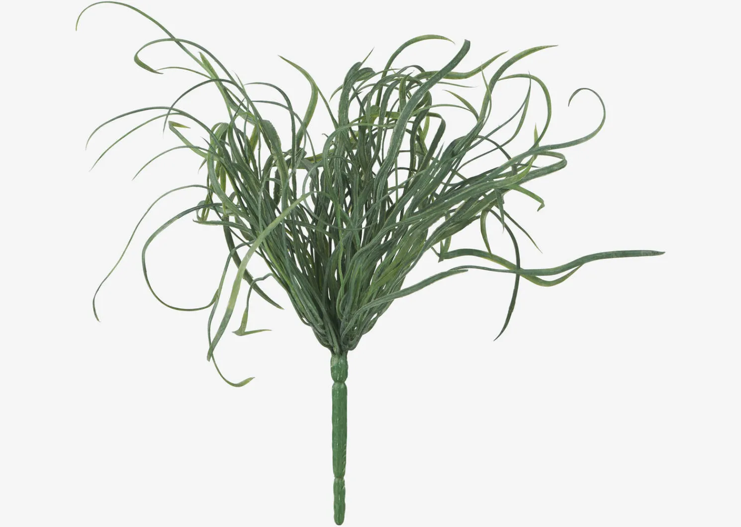 Urban Barn Maya Sea Grass Branch- Blooms & Branches