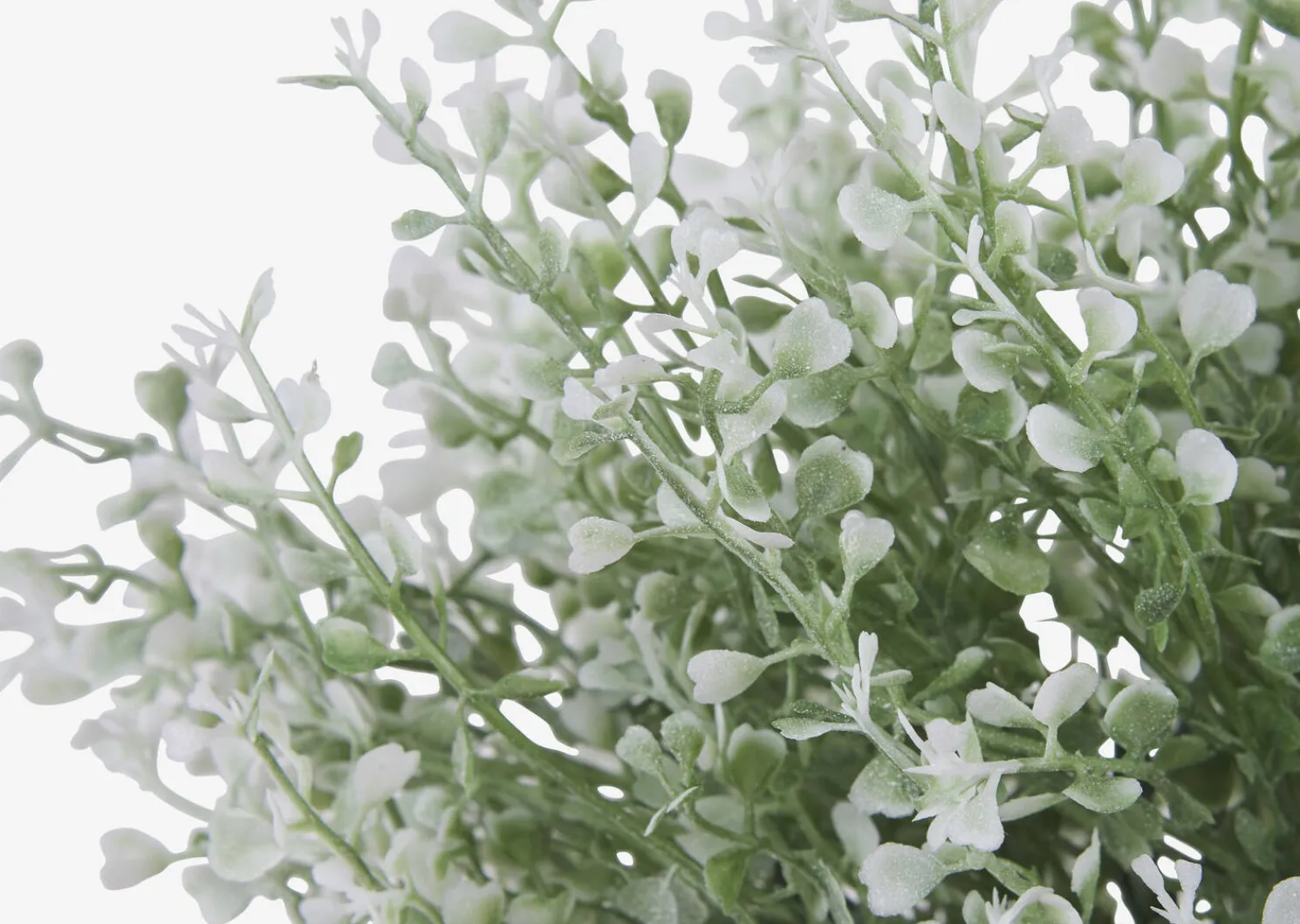 Urban Barn Mikayla Boxwood Stem- Blooms & Branches