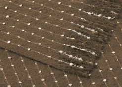 Urban Barn Montero Throw- Throws