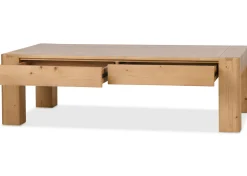Urban Barn Monterra Storage Coffee Table- Coffee Tables