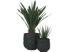 Urban Barn Ollie Planter- Vases & Planters