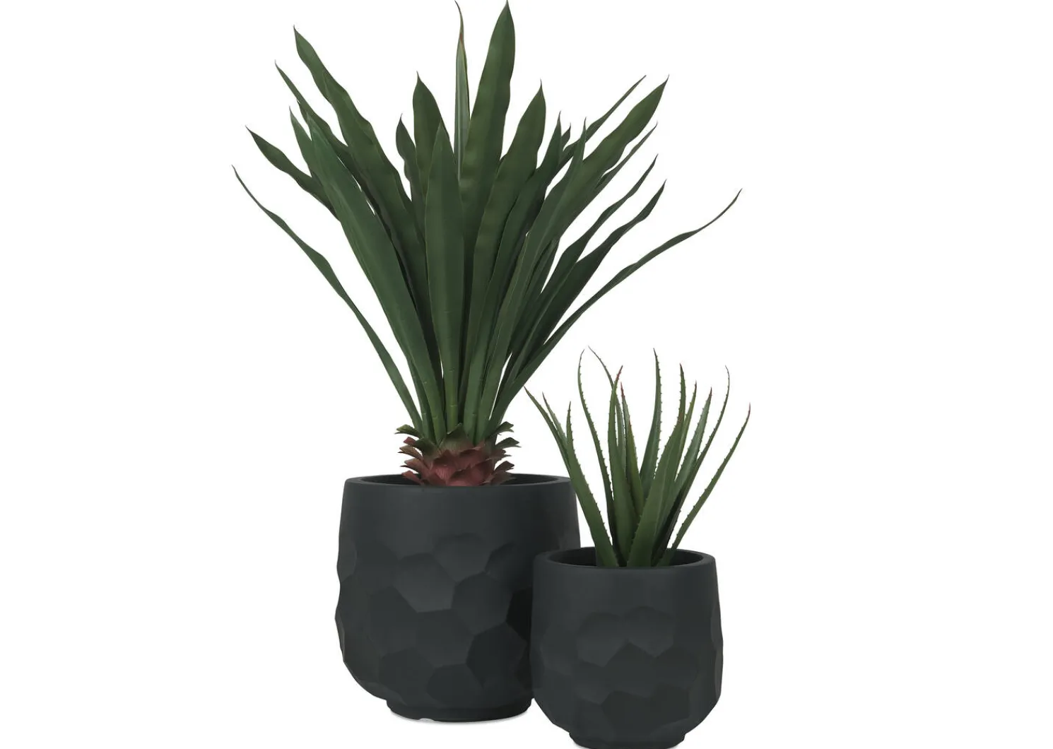 Urban Barn Ollie Planter- Vases & Planters
