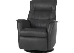Urban Barn Paramount Power Recliner- Accent Chairs