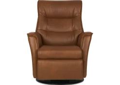 Urban Barn Paramount Power Recliner- Accent Chairs
