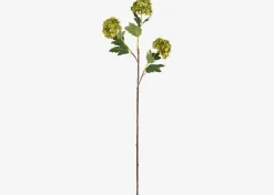 Urban Barn Raylee Snowball Branch- Blooms & Branches