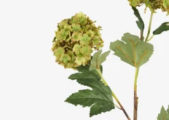 Urban Barn Raylee Snowball Branch- Blooms & Branches